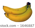 banana, bananas, white background 1646887