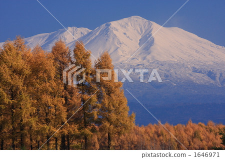 Late autumn Karamatsu and Asahidake 1646971