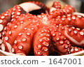 煮章魚 1647001