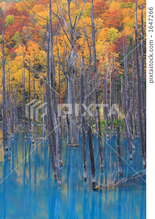 Aonuma和秋葉02 Aonuma和秋葉02 1647266