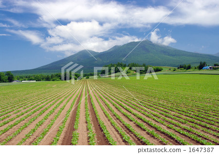Furano 1647387