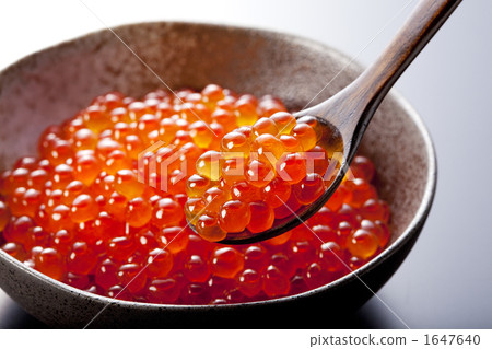  salmon roe 1647640