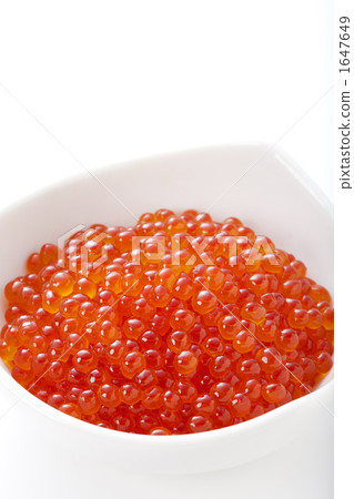  鮭魚子 1647649