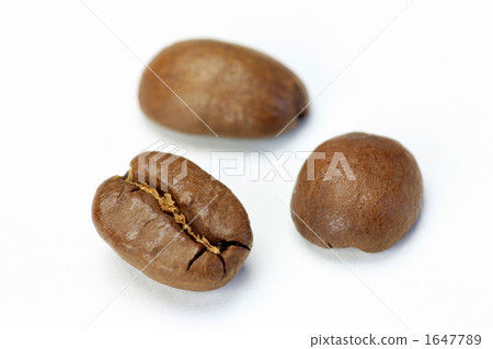 Coffee beans  1647789