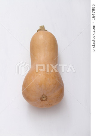 Butter nuts 1647996