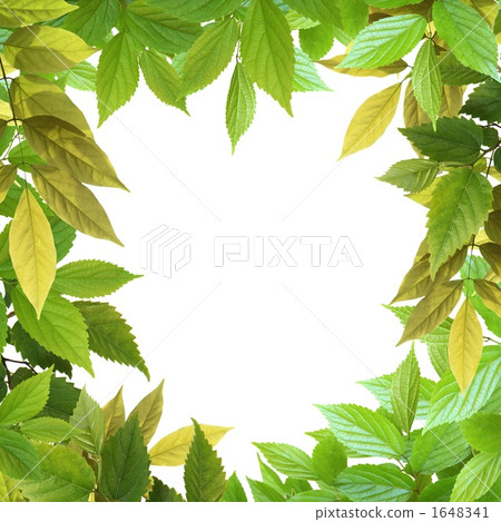 frame, backdrop, backdrops 1648341