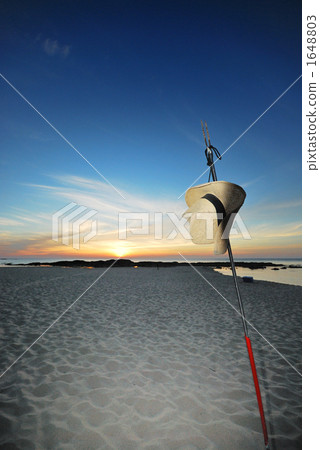 草帽 沙灘 海 1648803