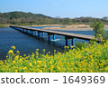 洪水期間連通淹沒的地方 四萬十川 大河 1649369