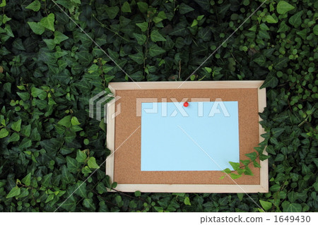 Blue paper cork board Ivy Wire plants ③ Blue paper cork board Ivy Wire plants ③ 1649430