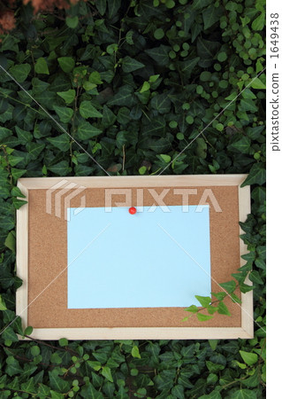 Blue Paper Cork Board Ivy Wire Plants ④ Blue Paper Cork Board Ivy Wire Plants ④ 1649438
