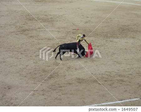 bullfight, bullfighting, cow 1649507