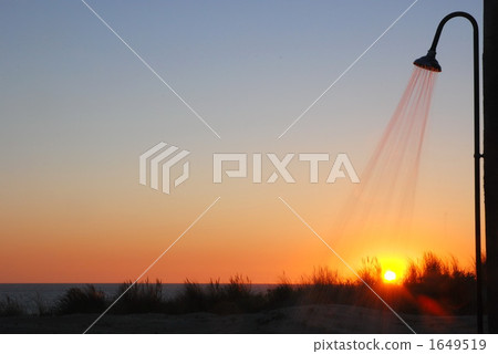 Shower shower head water 1649519