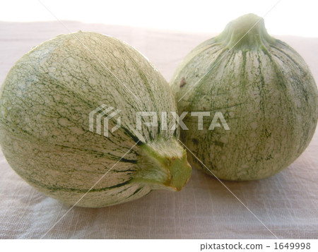 圓形西葫蘆 圓形西葫蘆 1649998