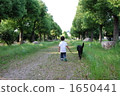 Dog-walking  1650441