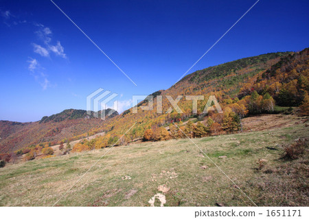 山田牧場的隕落 1651171