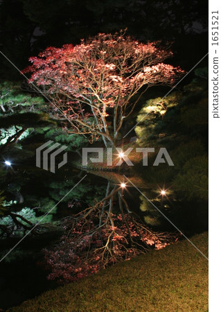 像一面鏡子 1651521