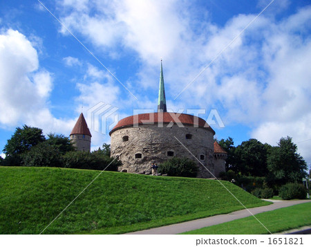 Fattya Margaret 1651821