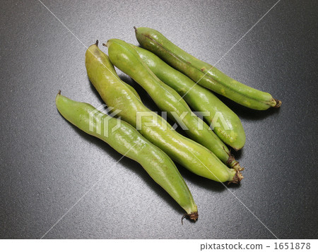 Broad beans Broad beans 1651878