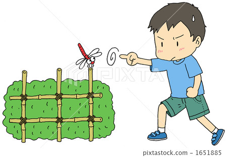 蜻蜓捕獲 1651885