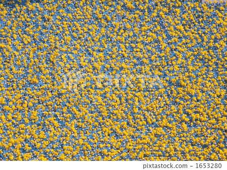 mass games, yellow, group 1653280