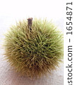 chestnut, chestnuts, japanese chestnut 1654871