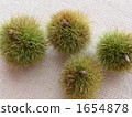 chestnut, chestnuts, japanese chestnut 1654878