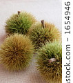 fagaceae castanea, thorny, spiney 1654946
