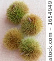 chestnut, chestnuts, japanese chestnut 1654949