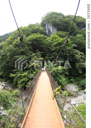 吊橋 父母和小孩 親子 1655668