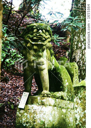 Guardian dog 1655864