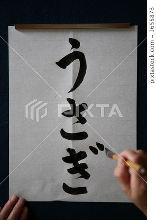 兔年 1655873