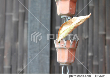 Fallen leaves in a chisel 1656059