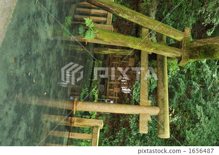 Power spot Kashima Shrine Mitarai pond 1656487