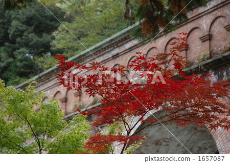 Mizukado 1657087