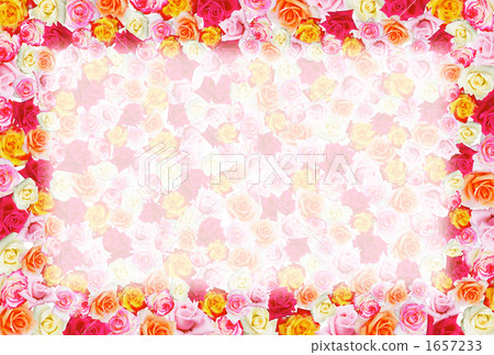 Rose Collage Rose Collage 1657233