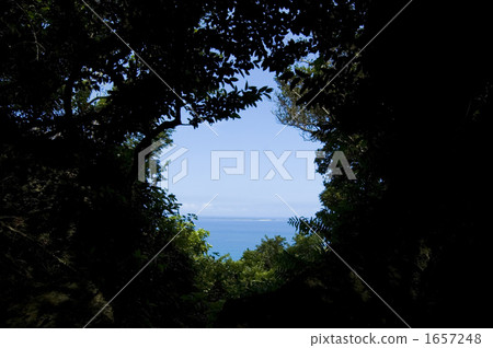 Funami Utagi 1657248