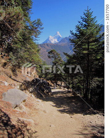 珠穆朗瑪峰路 1657700