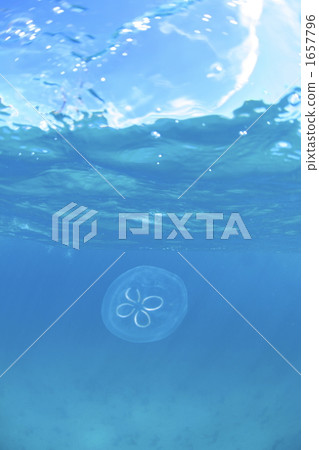 藍色水下 藍色水下 1657796