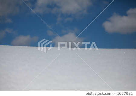 清除雪原 1657981