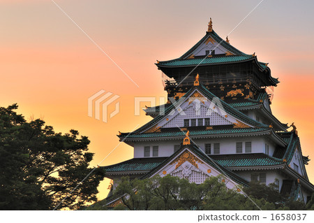 大阪城堡在晚上 1658037