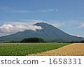 羊蹄山和田野 1658331