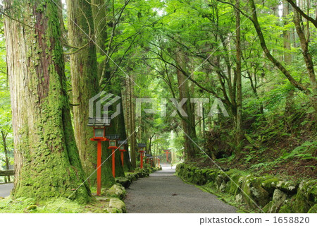 Kibune Shrine Okumiya Kibune Shrine Okumiya 1658820