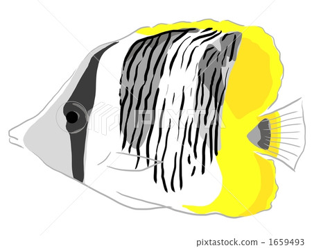 Sudaree butterfly Sudaree butterfly 1659493