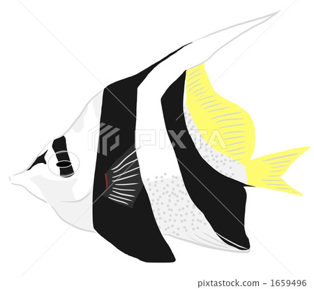 Grouper Redfish 1659496