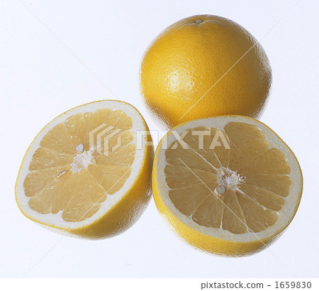 grapefruit, grapefruits, two 1659830
