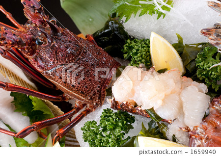 Shrimp of Ise shrimp 1659940
