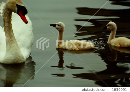 you know what… 1659991