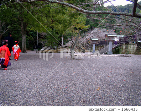 地面 七五三 神主 1660435