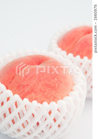White peach that entered the net 1660976