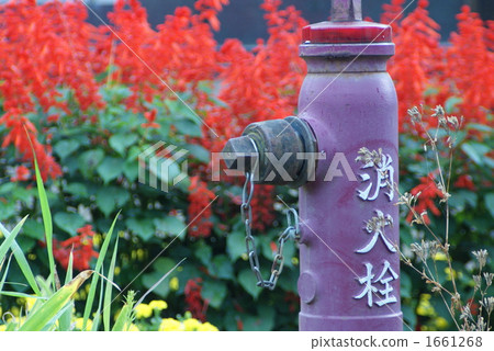 Fire hydrant Fire hydrant 1661268